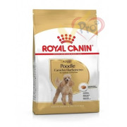 Royal Canin法國皇家金裝貴婦成犬糧