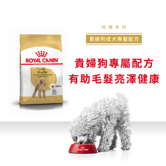 Royal Canin法國皇家金裝貴婦成犬糧