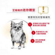 Royal Canin法國皇家金裝芝娃娃成犬糧