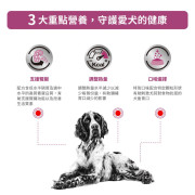 Royal Canin 法國皇家®處方Renal腎臟狗罐頭 410g