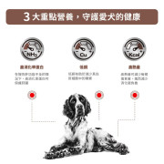 Royal Canin 法國皇家®處方Hepatic 肝臟狗糧 HF16