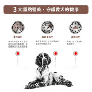 Royal Canin 法國皇家®處方Gastrointestinal 腸道狗罐頭 GI25 400g