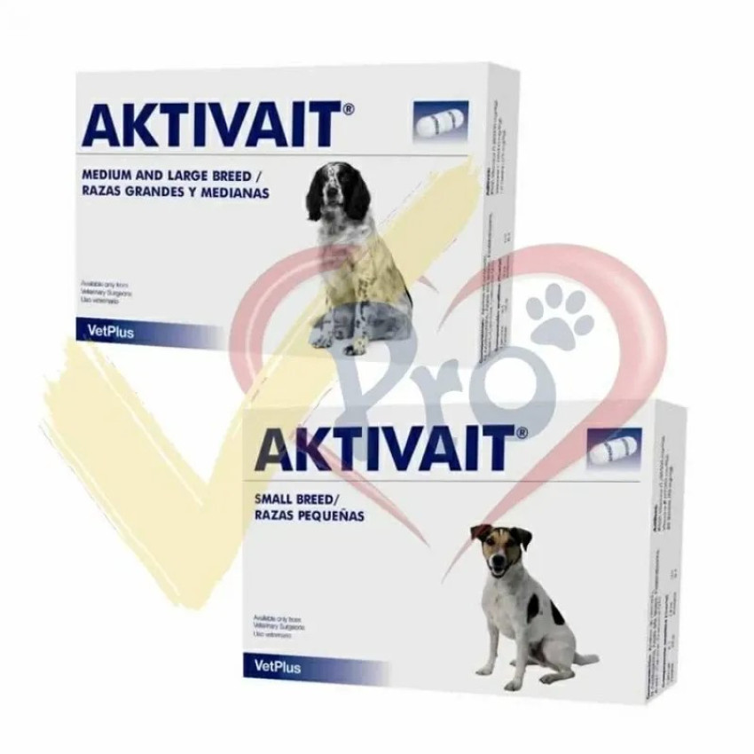 Aktivait dog cheap