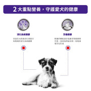 Royal Canin 法國皇家 10kg以下小型成犬健康管理配方