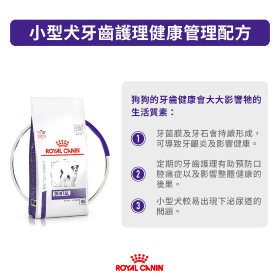 Royal Canin Dental 法國皇家 小型犬牙齒精選獸醫處方 1.5公斤 (10公斤以下小型犬配方 )