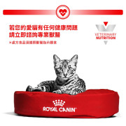 Royal Canin法國皇家®處方Satiety Support體重管理貓濕糧SAT34