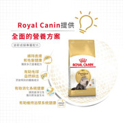 Royal Canin 法國皇家－波斯成貓專屬配方