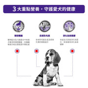 Royal Canin 法國皇家絕育中型成犬糧