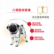 Royal Canin法國皇家金裝八哥成犬糧 3kg