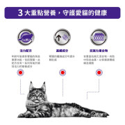 Royal Canin法國皇家®處方MATURE CONSULT BALANCE 老年貓均衡營養保健處方糧 