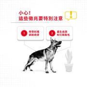 Royal Canin 法國皇家 - 大型犬皮膚舒緩配方12kg