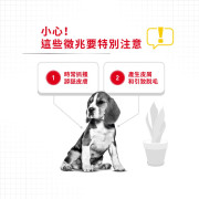 Royal Canin 法國皇家 -  中型犬皮膚舒緩配方