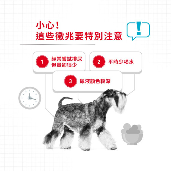 Royal Canin 法國皇家 -  小型犬泌尿道加護配方