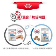 Royal Canin 法國皇家 -  小型犬體重控制加護配方