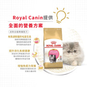 Royal Canin 法國皇家－波斯幼貓專屬配方