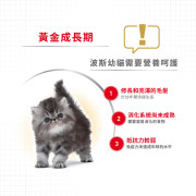 Royal Canin 法國皇家－波斯幼貓專屬配方