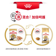 Royal Canin 法國皇家波斯成貓配方肉塊貓濕包  85g (12包)