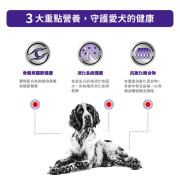 Royal Canin 法國皇家大型成犬健康管理配方 13kg