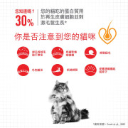 Royal Canin法國皇家 成貓亮毛及皮膚乾糧 