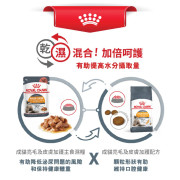 Royal Canin法國皇家 成貓亮毛及皮膚乾糧 