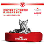 Royal Canin法國皇家®處方 Fibre 高纖貓濕糧  FR31