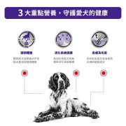 Royal Canin 法國皇家 絕育成犬健康管理袋裝濕糧（肉汁）100g