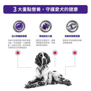 Royal Canin 法國皇家 老犬健康管理袋裝濕糧（肉塊）100g