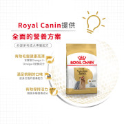 Royal Canin法國皇家金裝約瑟爹利成犬糧