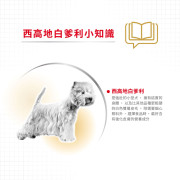 Royal Canin法國皇家金裝西高地白爹利成犬糧 1.5kg