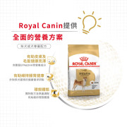 Royal Canin法國皇家金裝柴犬成犬糧