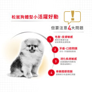 Royal Canin法國皇家金裝松鼠成犬糧 3kg