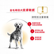 Royal Canin法國皇家金裝金毛尋回犬成犬糧 12kg