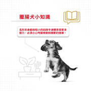 Royal Canin法國皇家金裝臘腸成犬糧