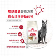 Royal Canin法國皇家一般健康成貓FIT 32