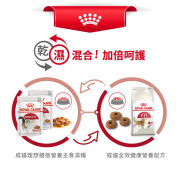 Royal Canin法國皇家一般健康成貓FIT 32