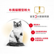 Royal Canin法國皇家布偶成貓配方 RD