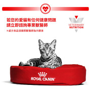 Royal Canin法國皇家®處方Gastrointestinal 腸胃貓糧 2kg  GI32