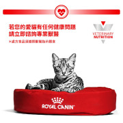 Royal Canin法國皇家®處方 Gastrointestinal腸胃貓濕糧  85g GI32