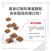 Royal Canin法國皇家授乳母貓及初生貓配方 BA34