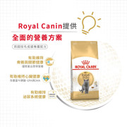 Royal Canin 法國皇家英國短毛貓配方 (BSH) 貓乾糧