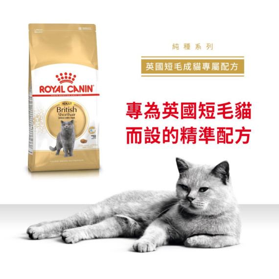 Royal Canin 法國皇家英國短毛貓配方 (BSH) 貓乾糧