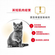 Royal Canin 法國皇家英國短毛貓配方 (BSH) 貓乾糧