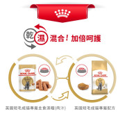 Royal Canin 法國皇家英國短毛貓配方 (BSH) 貓乾糧