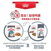 Royal Canin 法國皇家成貓除毛球加護主食濕糧（肉汁）85g (12包)