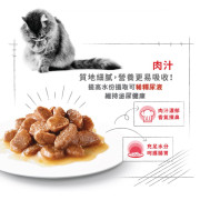 Royal Canin 法國皇家成貓除毛球加護主食濕糧（肉汁）85g (12包)