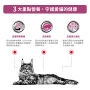 Royal Canin 法國皇家 Early Renal 早期腎病 貓濕包 85g